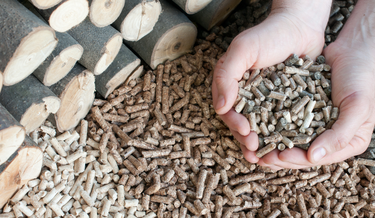 Sustainable and Versatile Biomass Products