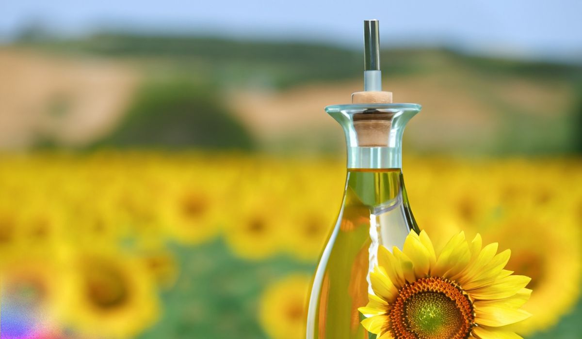From Crude to Refined: Sunflower Oil Insights by Brama LTD